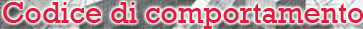 codice comportamento